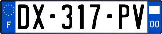 DX-317-PV