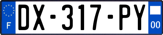 DX-317-PY
