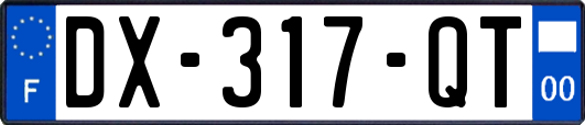 DX-317-QT