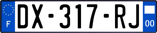 DX-317-RJ