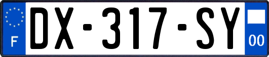 DX-317-SY