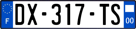 DX-317-TS
