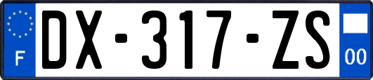 DX-317-ZS