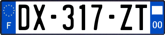 DX-317-ZT