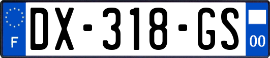 DX-318-GS