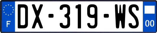 DX-319-WS