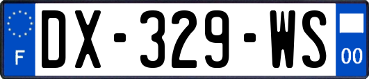 DX-329-WS