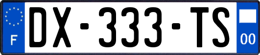 DX-333-TS