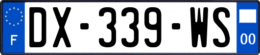 DX-339-WS