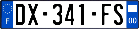 DX-341-FS
