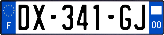 DX-341-GJ