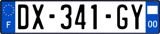 DX-341-GY