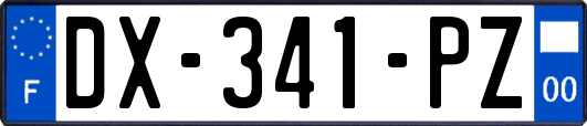 DX-341-PZ
