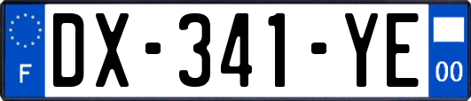 DX-341-YE