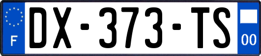 DX-373-TS