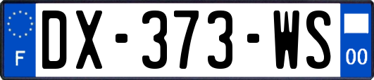 DX-373-WS
