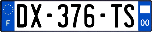DX-376-TS