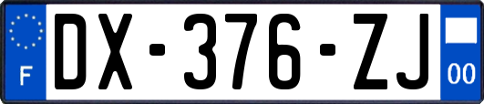 DX-376-ZJ