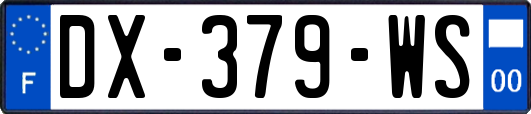 DX-379-WS