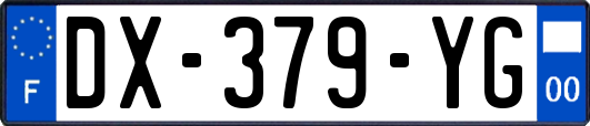 DX-379-YG