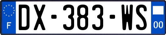 DX-383-WS