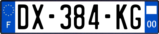 DX-384-KG