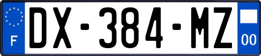 DX-384-MZ