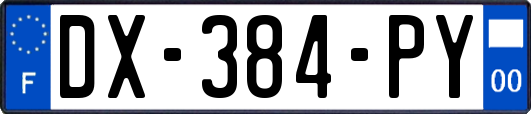 DX-384-PY