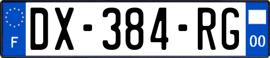 DX-384-RG