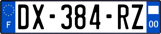DX-384-RZ