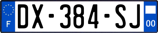 DX-384-SJ