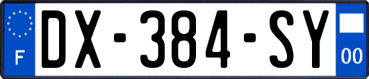 DX-384-SY