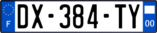 DX-384-TY