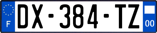 DX-384-TZ