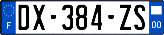 DX-384-ZS