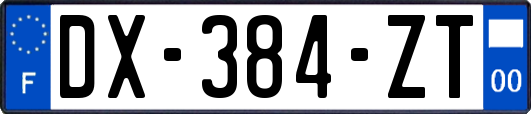 DX-384-ZT