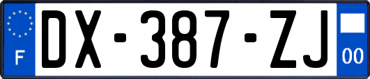 DX-387-ZJ