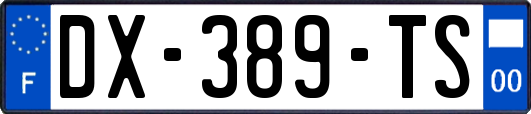 DX-389-TS