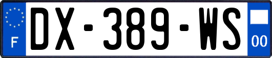 DX-389-WS