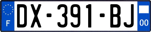 DX-391-BJ