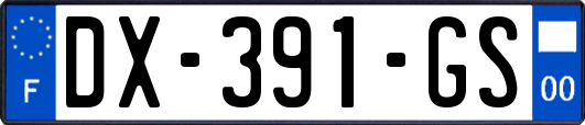 DX-391-GS