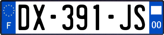 DX-391-JS