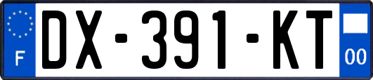 DX-391-KT