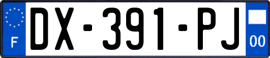 DX-391-PJ