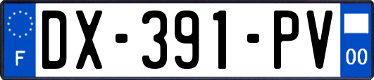 DX-391-PV
