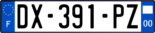 DX-391-PZ
