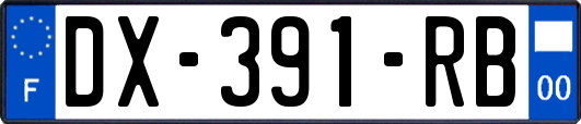 DX-391-RB