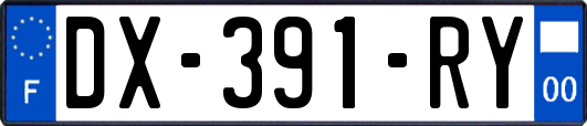 DX-391-RY
