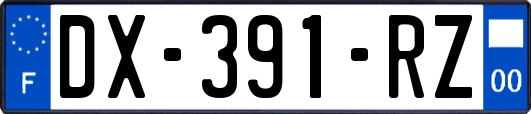 DX-391-RZ