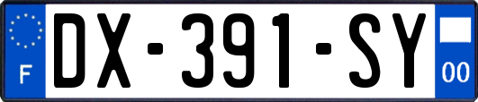 DX-391-SY